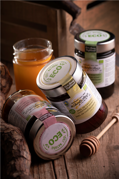 TASTING THE BEST HONEY IN THE WORLD