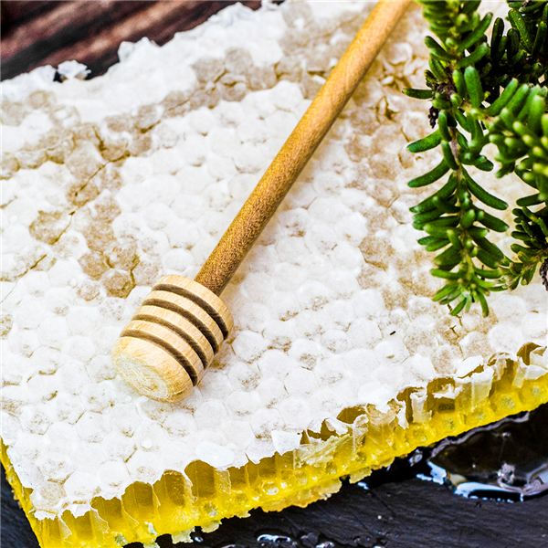 TASTING OF OUR SPANISH HONEYCOMBS