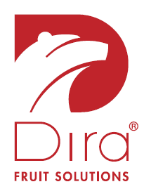 DIRA FROST Logo