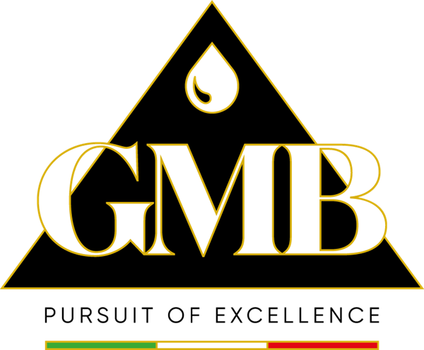 GMB - PI. SOLUTIONS Logo